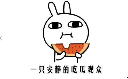 娱乐吃瓜酱晚安蠢蛋,揭秘娱乐圈的甜蜜与苦涩