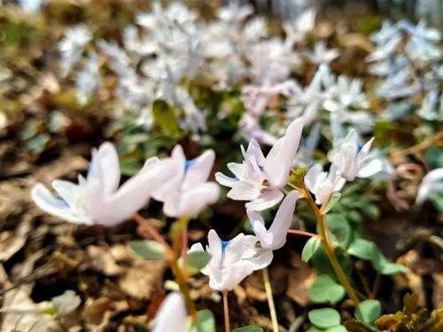 娱乐吃瓜酱夏天情侣,娱乐吃瓜酱带你揭秘夏天情侣的浪漫瞬间