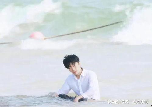 娱乐圈吃瓜动态视频,揭秘最新吃瓜动态视频背后的故事