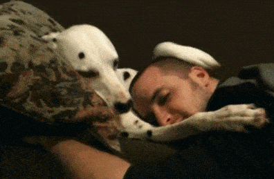 吃瓜娱乐图片搞笑图,搞笑图鉴，带你领略吃瓜乐趣