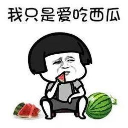 怎么屏蔽娱乐吃瓜的人