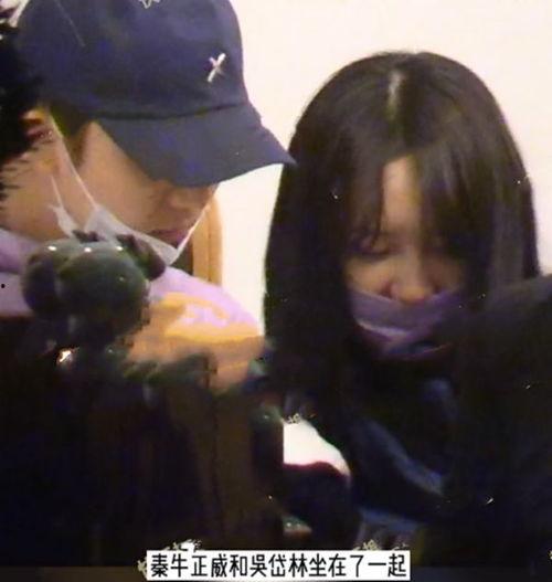 娱乐圈吃瓜四小花